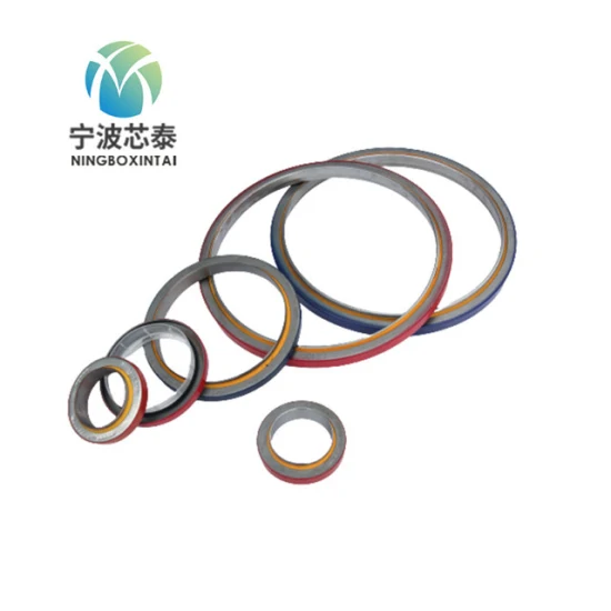 Security Plastic Meter Seal for Oil Gas Industry